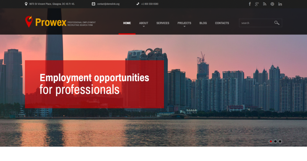 Professional employment portal website design showing recruitment management and candidate resume registry