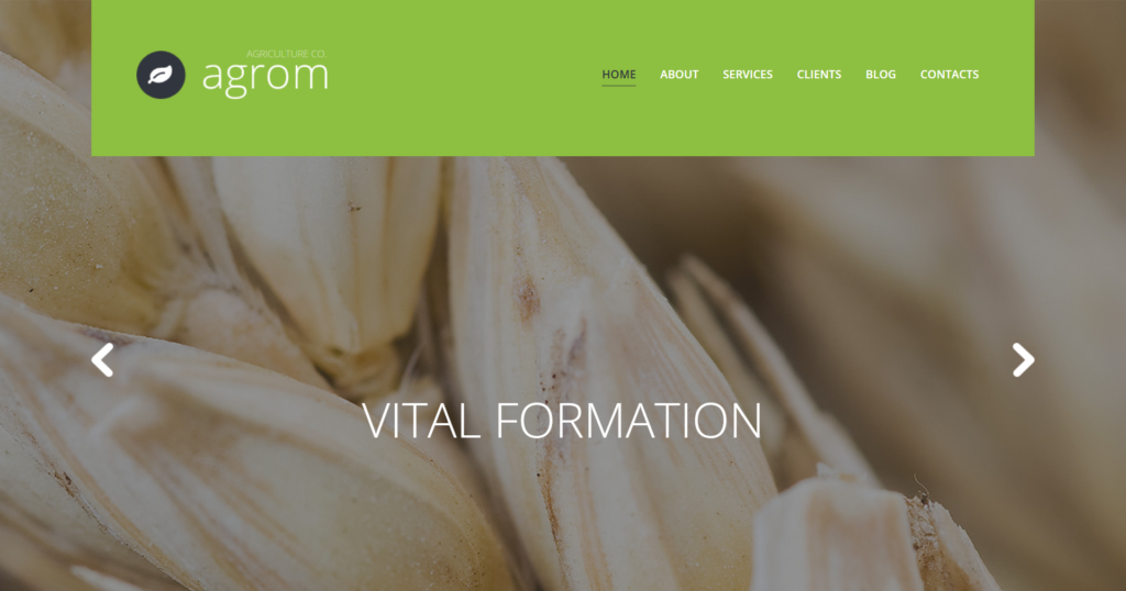 Professional agriculture website design showing rural architectural planning and construction projects