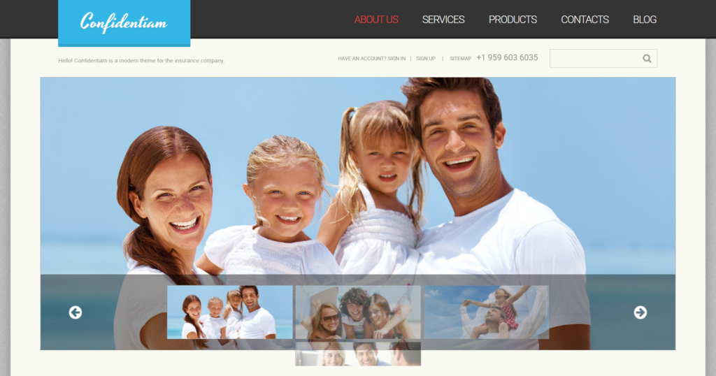 Effective insurance website design showing financial protection and enterprise solutions