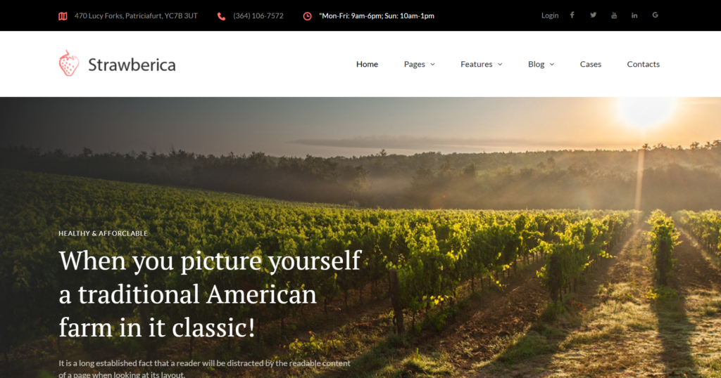 Organic farm website design service showing clean responsive interface for vegan agriculture