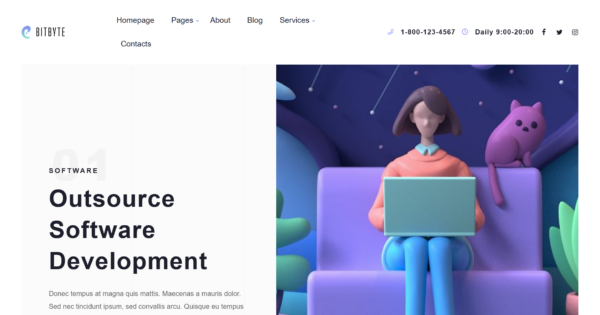 Reliable Software Development Company Website Design