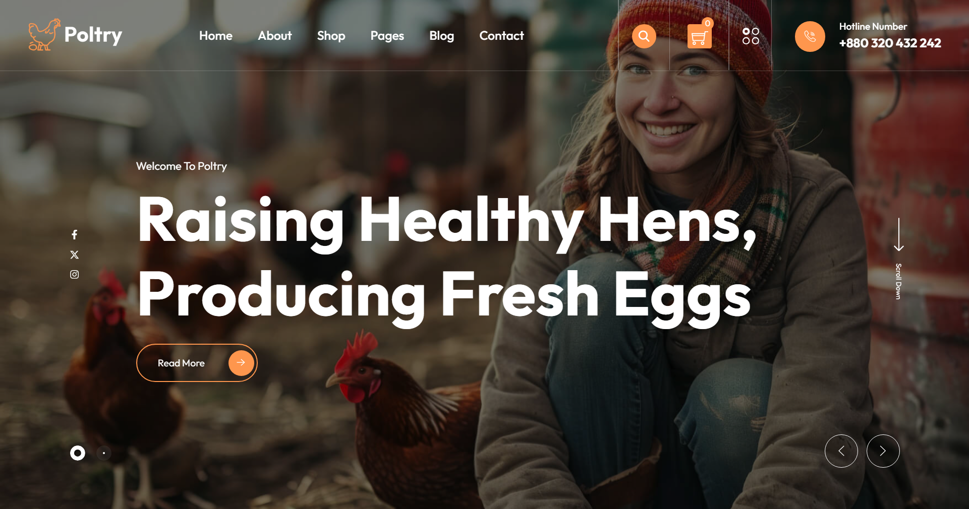 Premier UK poultry farm website design for commercial agriculture farming showcasing organic production and industrial ecology management.