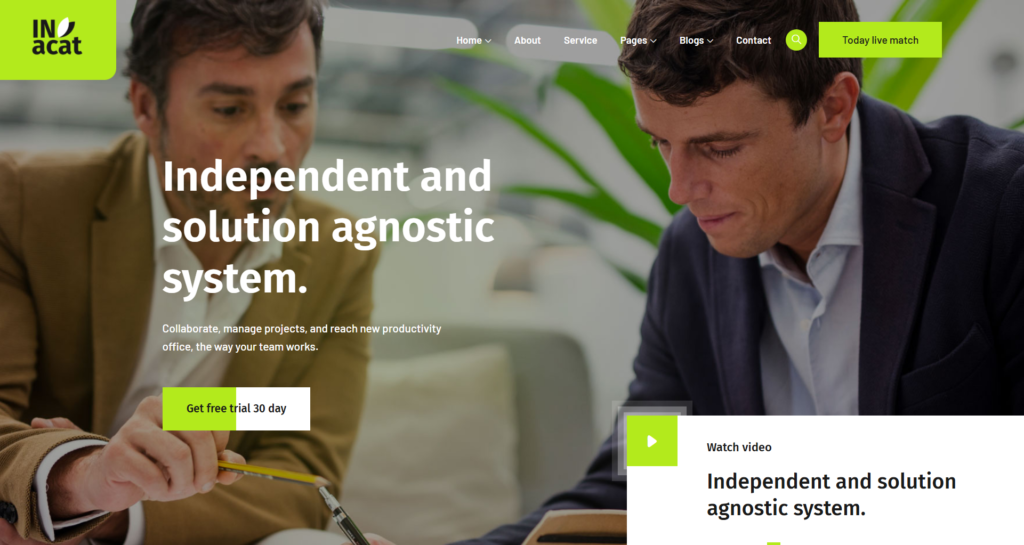Reliable consulting advisor agency website development using clean, modern corporate technology platforms focusing on financial and software solutions.