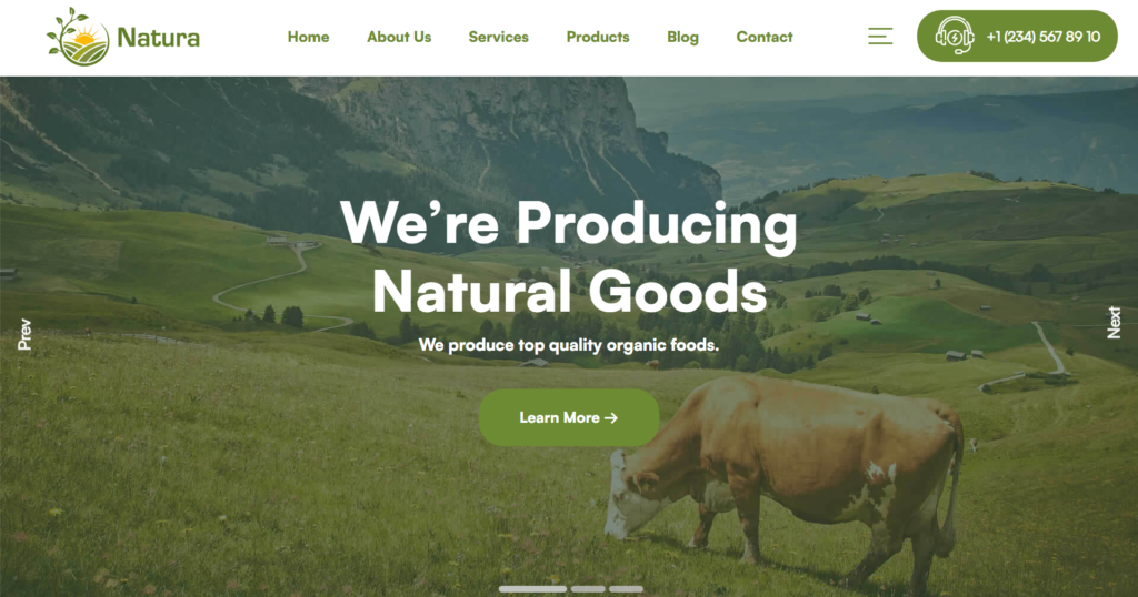 Agricultural farm website design showcasing fresh fruits, vegetables, beef, and clean cultivation for the food industry.