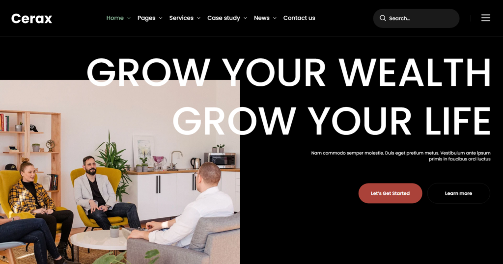 Trusted consulting accounting website development integrating robust financial audit tools and secure brokerage information for financial advisory companies.