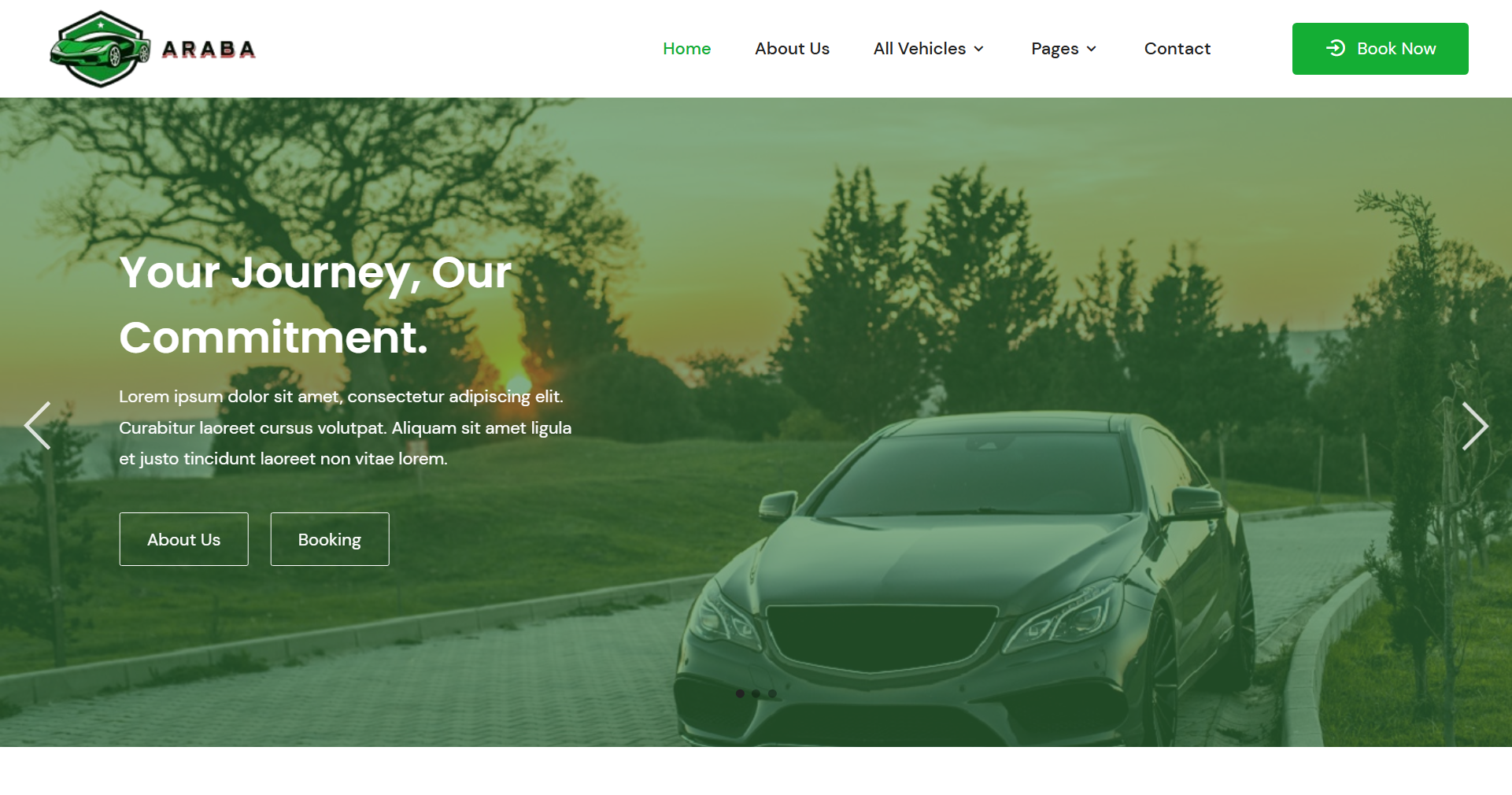 Vehicle Rental Booking Website design for ride share and car rent platforms
