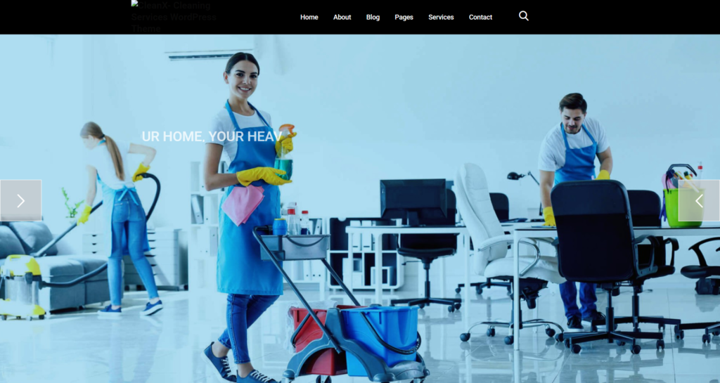 Specialised cleaning company website design focusing on car and limousine detailing, repair, maintenance, and online booking services for vehicles.