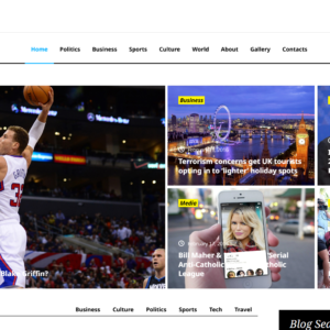 Modern News Portal Website Design showing a grid layout for articles.