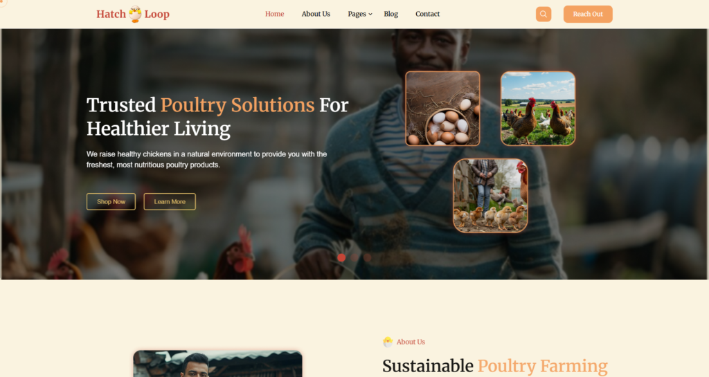 Reliable organic poultry farm website design emphasising ethical production, food safety, and commercial agriculture farming practices.