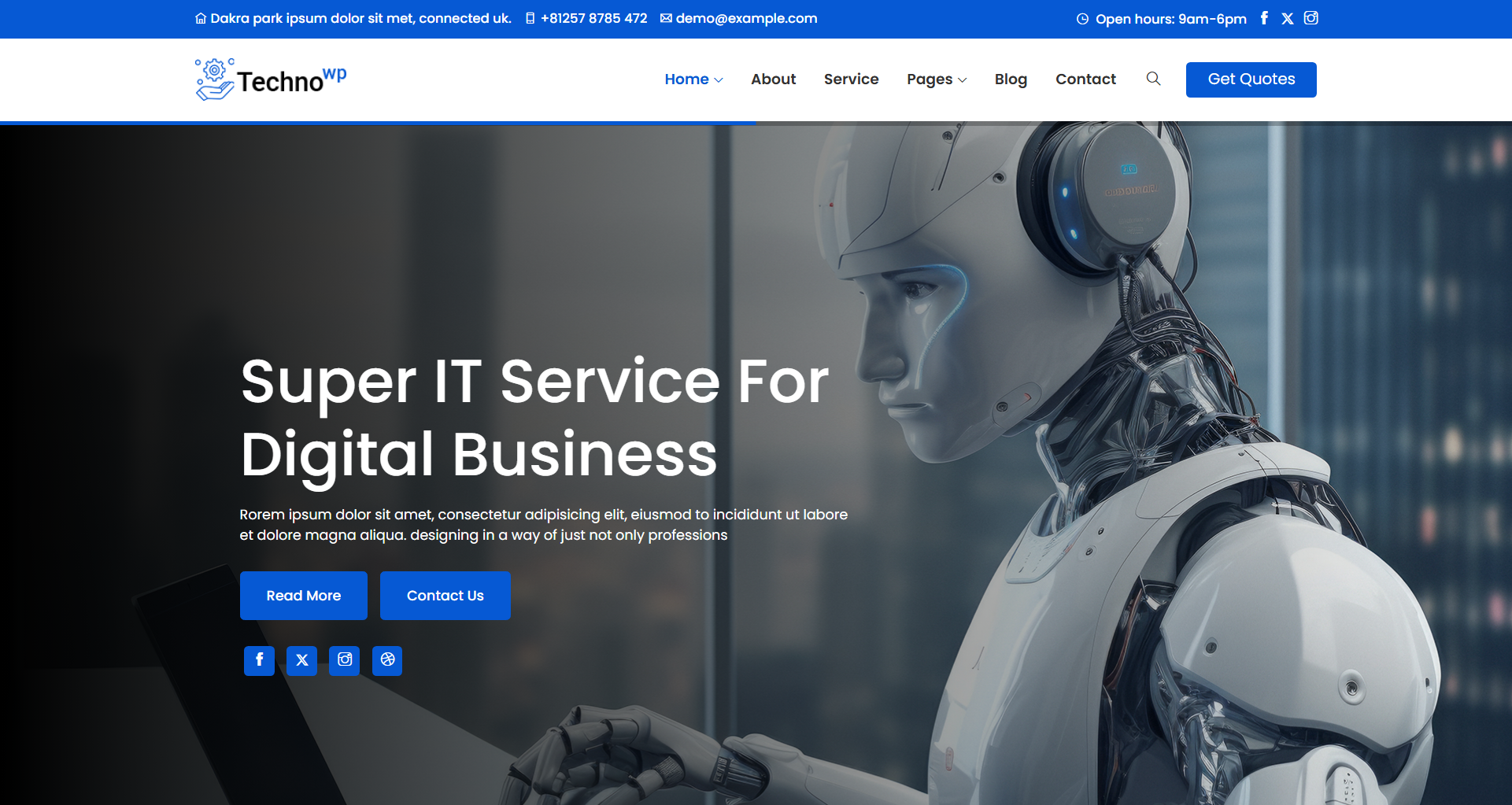 Premier Professional IT Solutions Website Solutions