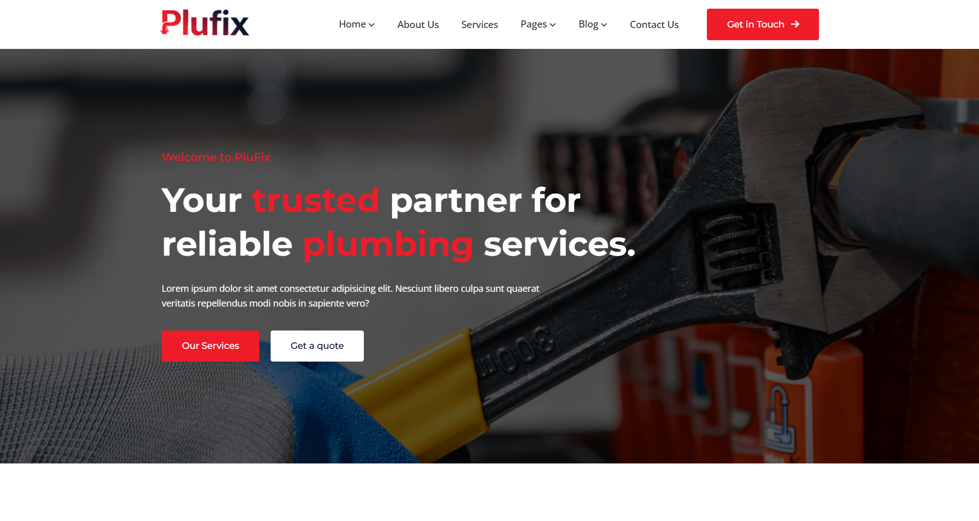 Reliable professional plumbing website design for local repair and maintenance companies focusing on emergency plumber calls.
